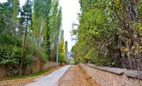 Hasanpaşa